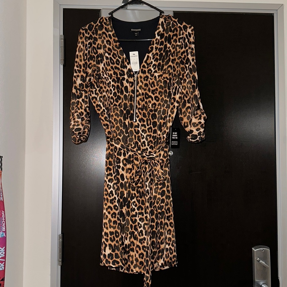 Express Leopard dress